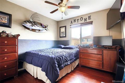 20250 E 47th Pl, Denver, CO 80249 photo 22