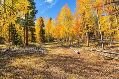 lot1 Venture Rd, Fairplay, CO 80440