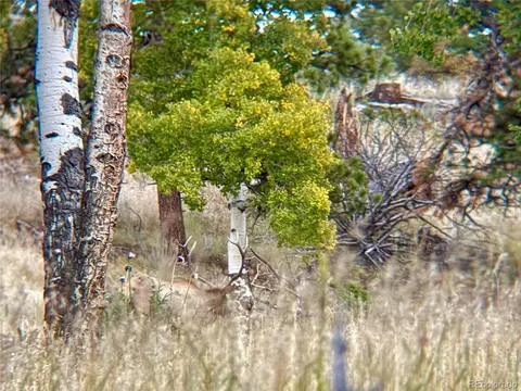 Other - 12434 S Us Hwy 285, Conifer, CO 80433 photo 10 of 26