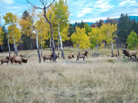 Other - 12434 S Us Hwy 285, Conifer, CO 80433 photo 26 of 26