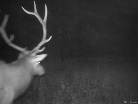 Other - 12434 S Us Hwy 285, Conifer, CO 80433 photo 9 of 26