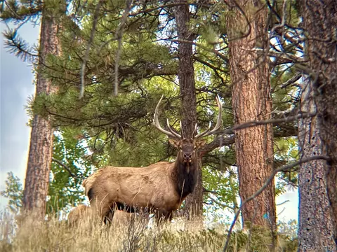 Other - 12434 S Us Hwy 285, Conifer, CO 80433 photo 25 of 26