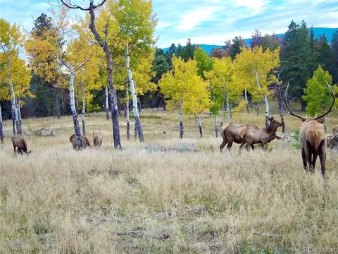Other - 12434 S Us Hwy 285, Conifer, CO 80433 photo 24 of 26