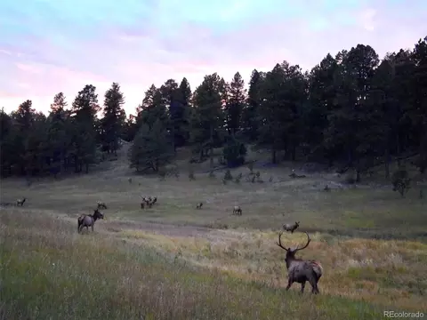 Other - 12434 S Us Hwy 285, Conifer, CO 80433 photo 8 of 26