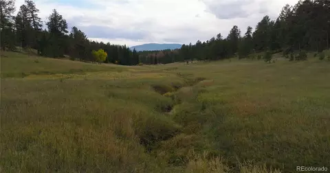 Other - 12434 S Us Hwy 285, Conifer, CO 80433 photo 4 of 26