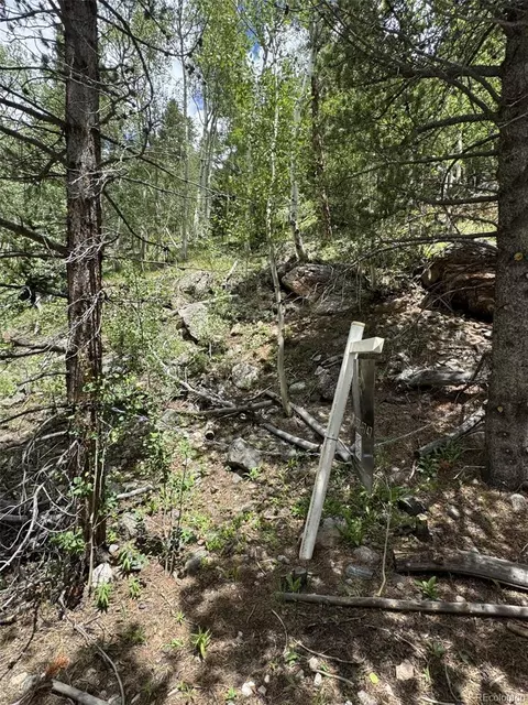 0 Loch Lomond Rd, Idaho Springs, CO 80452