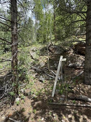 0 Loch Lomond Rd, Idaho Springs, CO 80452
