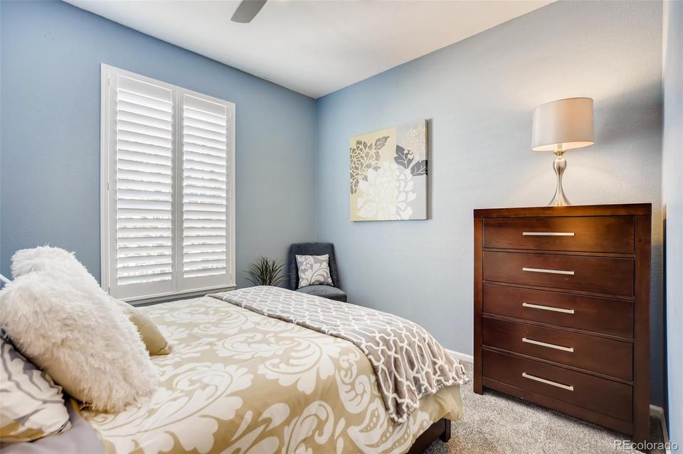  11860 Mill Valley St, Parker, CO 80138 photo 16