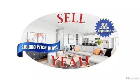 17969 Sky Pilot Ave, Parker, CO 80134
