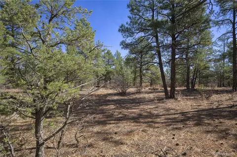 Rancho La Garita Lot 1129, Weston, CO 81091