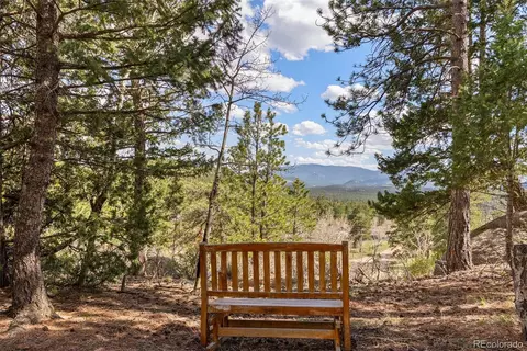 29 Cedar Ln, Bailey, CO 80421 photo 35