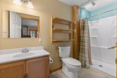 29 Cedar Ln, Bailey, CO 80421 photo 23