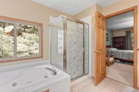 29 Cedar Ln, Bailey, CO 80421 photo 15