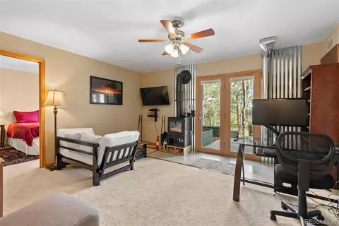 29 Cedar Ln, Bailey, CO 80421 photo 19