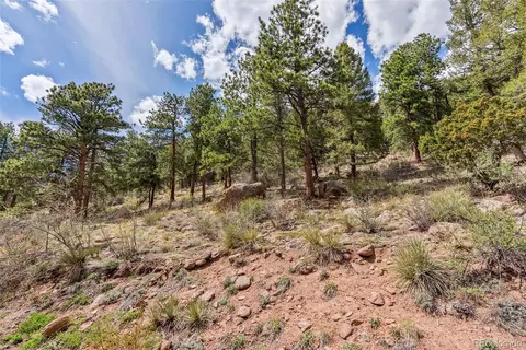29 Cedar Ln, Bailey, CO 80421 photo 36