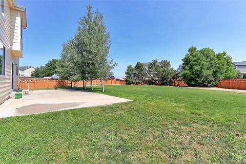 5261 Killdeer St, Brighton, CO 80601 photo 24