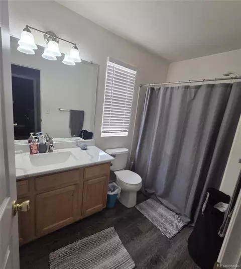 Bath - 15744 E 107th Pl, Commerce City, CO 80022 photo 3 of 3