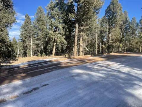1873 N Mountain Estates Rd, Florissant, CO 80816