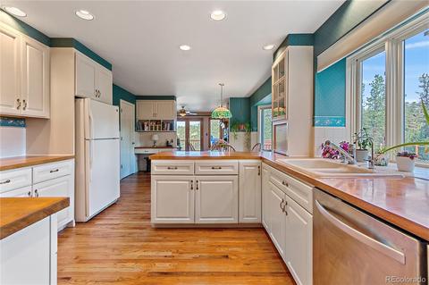 1919 Nova Rd, Pine, CO 80470 photo 18