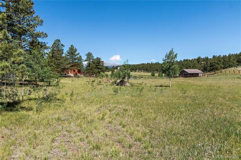 1919 Nova Rd, Pine, CO 80470 photo 4