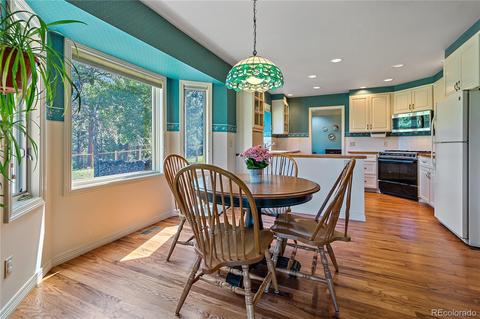 1919 Nova Rd, Pine, CO 80470 photo 21