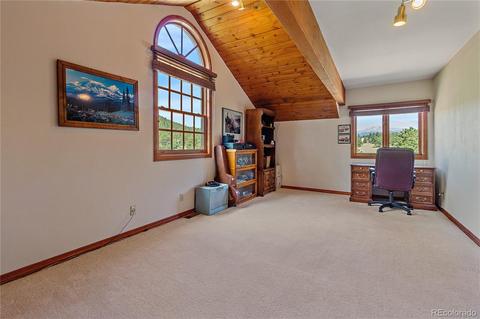 1919 Nova Rd, Pine, CO 80470 photo 33