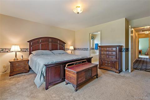 1919 Nova Rd, Pine, CO 80470 photo 29