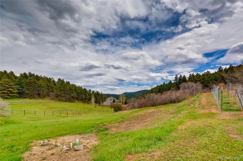 9117 Jennings Rd, Morrison, CO 80465 photo 26