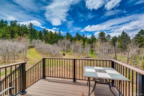9117 Jennings Rd, Morrison, CO 80465 photo 30