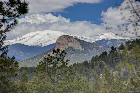 31301 Red Hawk Trl, Conifer, CO 80433 photo 2