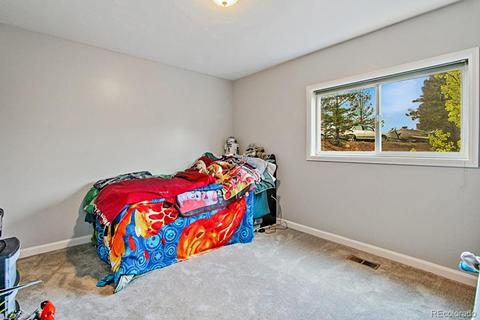 191 Renaud Rd, Bailey, CO 80421 photo 19