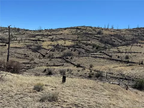 tbd 32nd F Path, Cotopaxi, CO 81223 photo 9