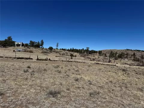 tbd 32nd F Path, Cotopaxi, CO 81223 photo 11