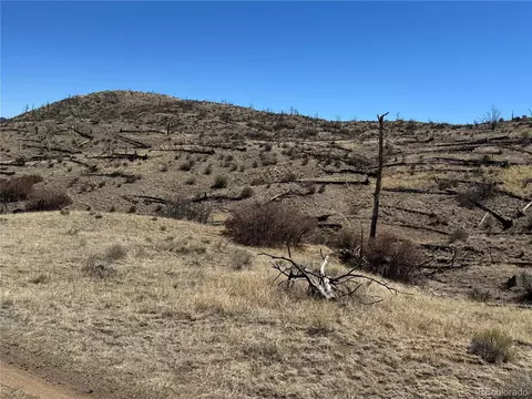 tbd 32nd F Path, Cotopaxi, CO 81223 photo 7