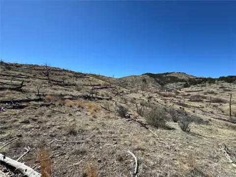 tbd 32nd F Path, Cotopaxi, CO 81223