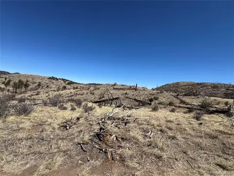 tbd 32nd F Path, Cotopaxi, CO 81223 photo 5