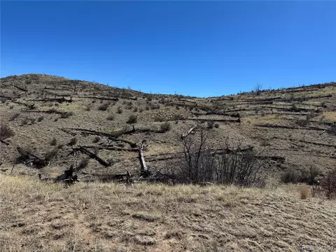 tbd 32nd F Path, Cotopaxi, CO 81223 photo 8