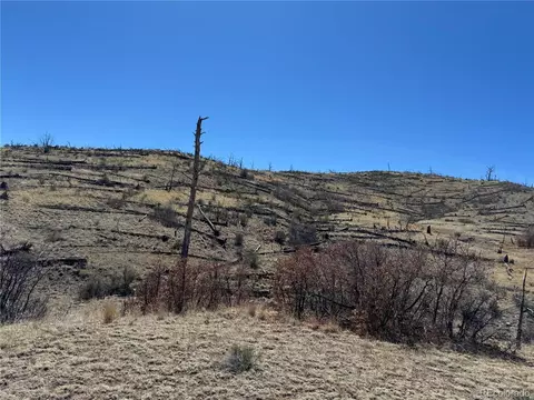 tbd 32nd F Path, Cotopaxi, CO 81223 photo 6
