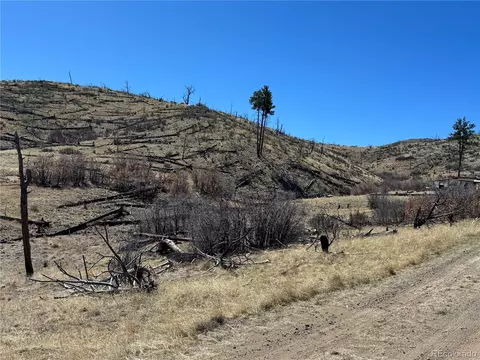 tbd 32nd F Path, Cotopaxi, CO 81223 photo 3