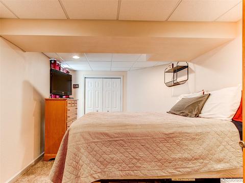 955 E 132nd Cir, Thornton, CO 80241 photo 27