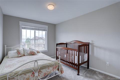2390 Broadleaf Loop, Castle Rock, CO 80109 photo 25