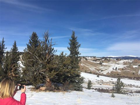 2360 Breton Cir, Como, CO 80432 photo 14