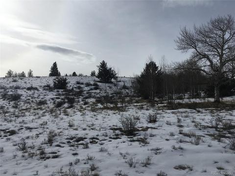 2360 Breton Cir, Como, CO 80432 photo 9