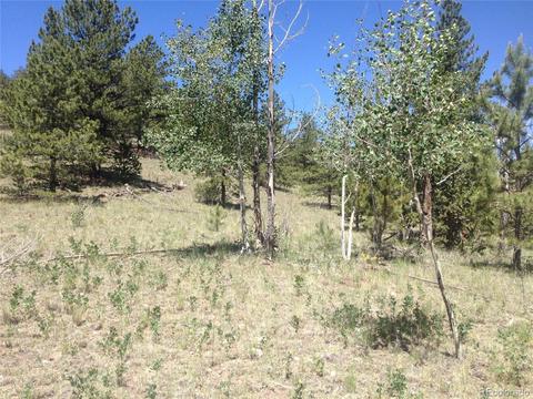 2360 Breton Cir, Como, CO 80432 photo 5