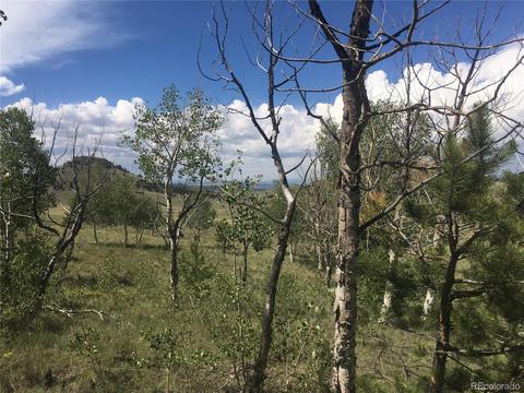 2360 Breton Cir, Como, CO 80432 photo 4