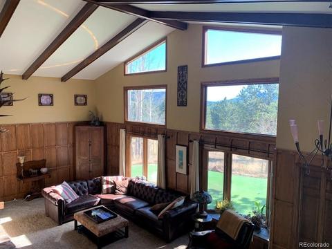 74 Holdup St, Bailey, CO 80421 photo 16