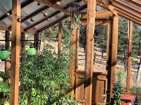 74 Holdup St, Bailey, CO 80421 photo 23