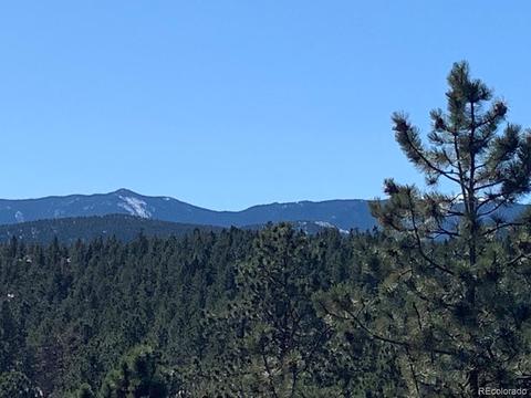 74 Holdup St, Bailey, CO 80421 photo 9