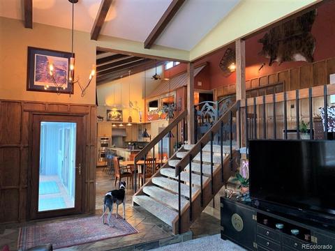 74 Holdup St, Bailey, CO 80421 photo 24