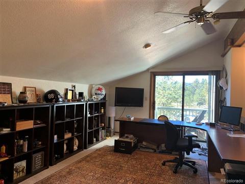 74 Holdup St, Bailey, CO 80421 photo 33